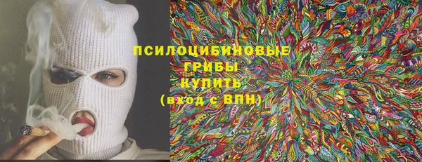 a pvp Белокуриха
