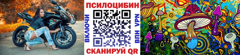 мега сайт  Сланцы  Псилоцибиновые грибы мицелий 