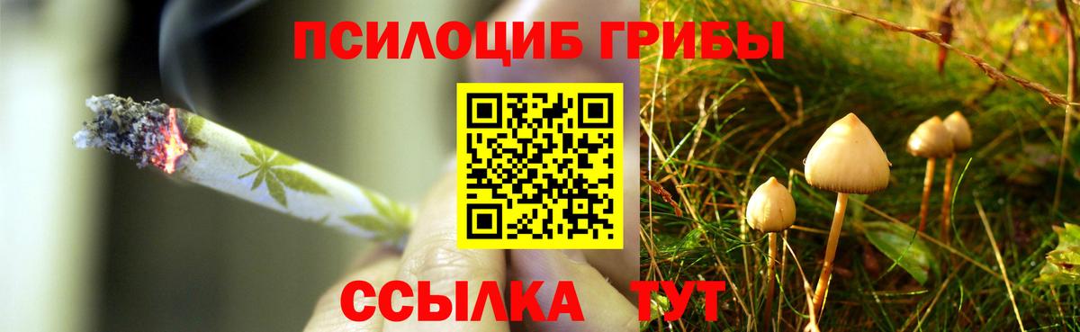 Псилоцибиновые грибы Cubensis Сланцы